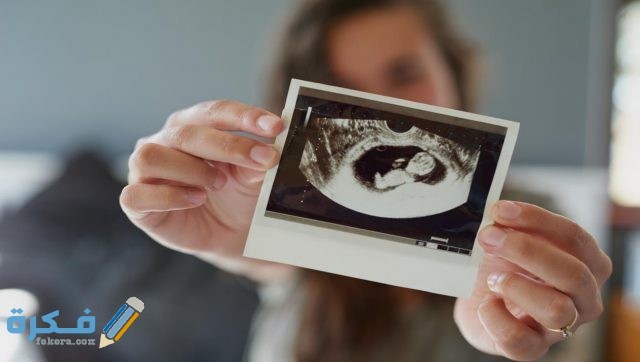 متى يرجع الرحم بعد الإجهاض إلى الحجم الطبيعي متى يرجع الرحم بعد الإجهاض إلى الحجم الطبيعي