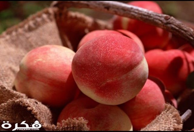 كم عدد السعرات الحرارية في حبابة الخوخ IMG ٢٠٢٠٠٣٠١ ١٢٣٣٣٤