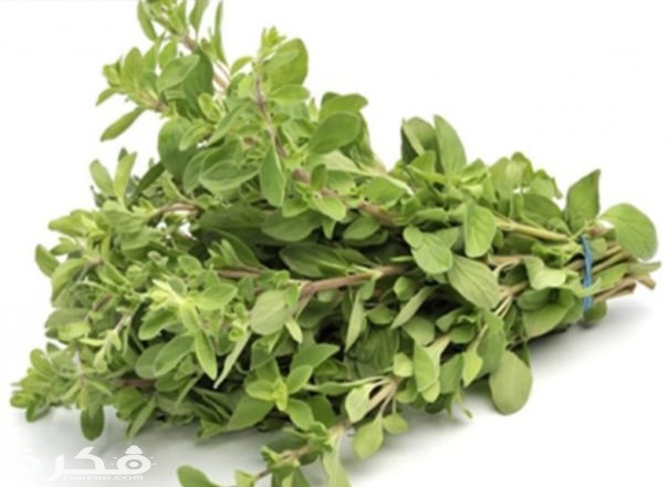 فوائد البردقوش للتخسيس IMG ٢٠٢٠٠٣١١ ١١٢٤٣٦