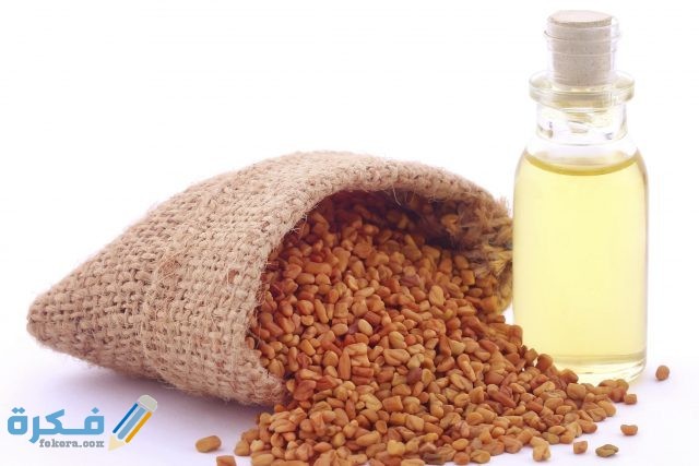 كم كوب من الحلبة يسبب الإجهاض؟ كم كوب من الحلبة يسبب الإجهاض؟