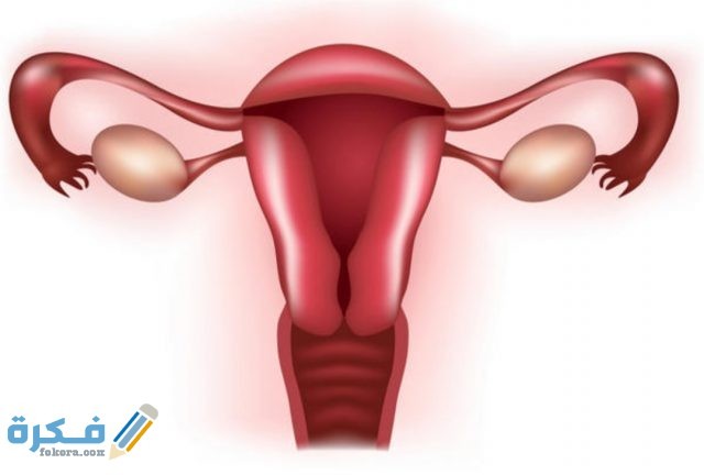 ميترول METROL IMG ٢٠٢٠٠٤٠٨ ١٢٥٧٣٧