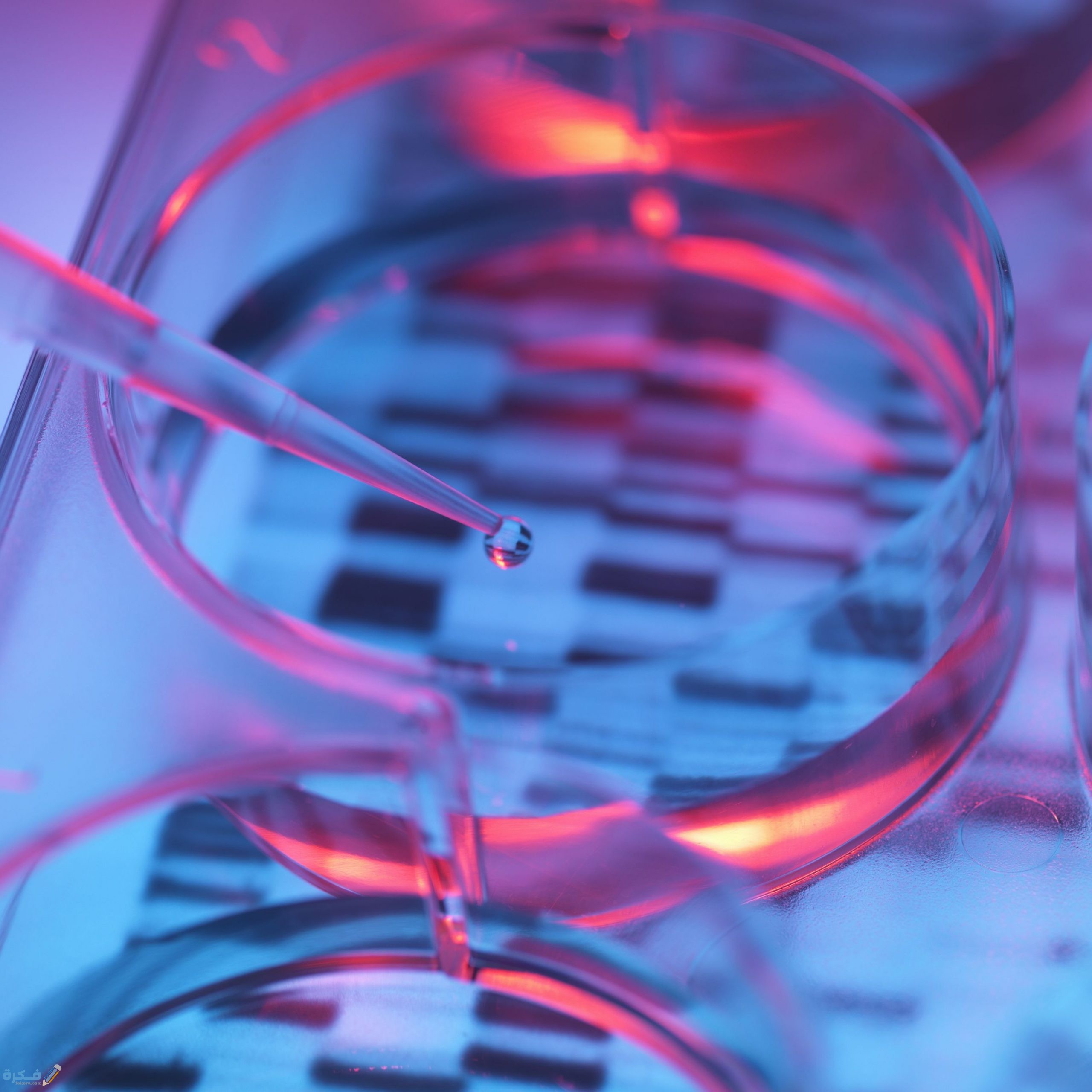 سعر تحليل الكروموسومات للجنين ومدة استخراج التحليل