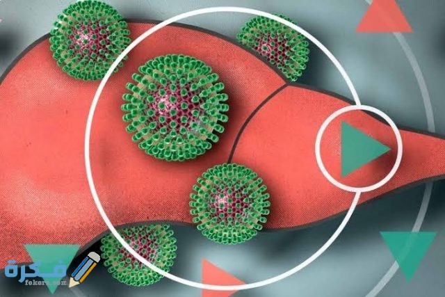 نسبة فيروس بي النشط نسبة فيروس بي النشط