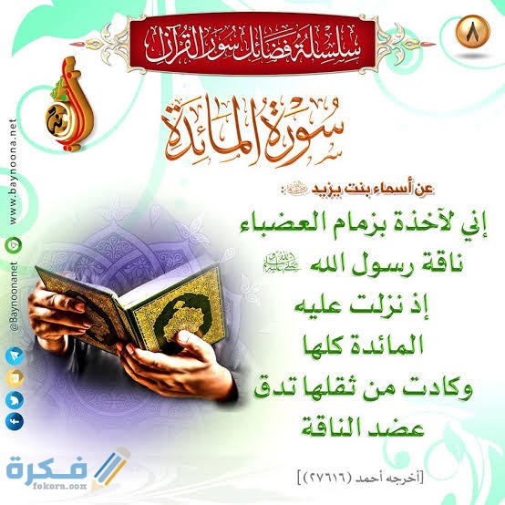 السورة التي جمعت لشرائع التحليل والتحريم والأمر والنهي هي