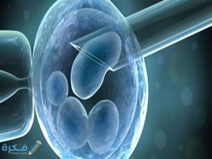 احسن دكتور اطفال انابيب في اربد