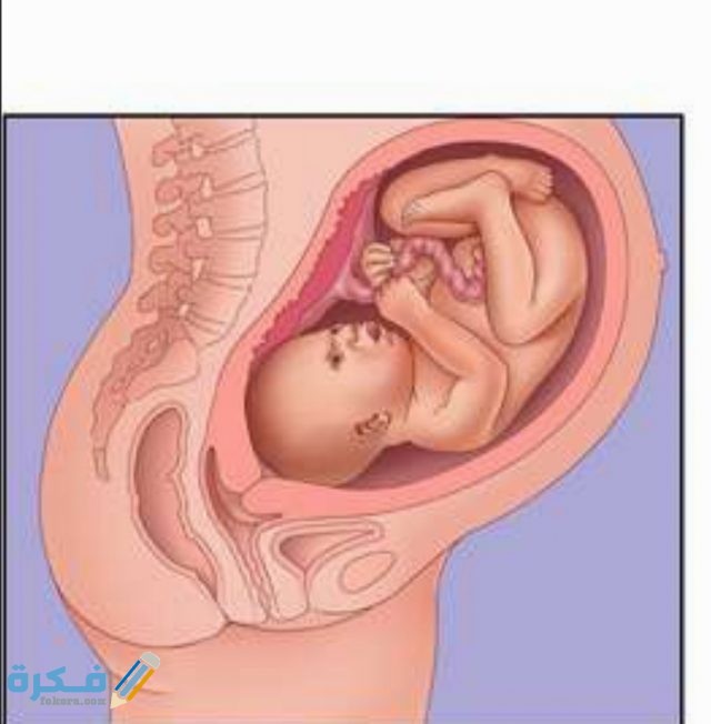 نصائح للحامل في الشهر التاسع IMG ٢٠٢٠٠٨٠٢ ١٢٥٠٣٨