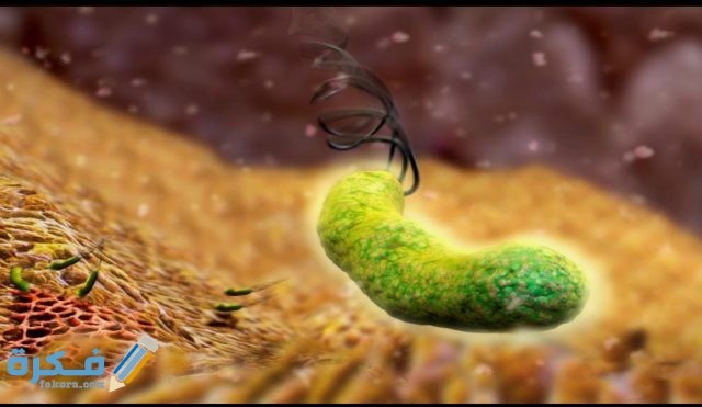 علاج جرثومة المعده نهائيا IMG ٢٠٢٠٠٨١٤ ١٢٠١١٤