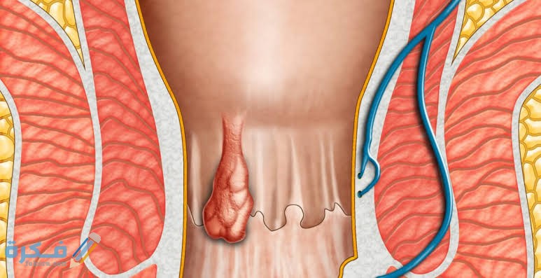 images 2021 08 14T004423.055