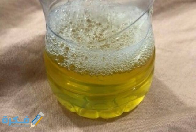 IMG ٢٠٢٠٠٩٢١ ١٩٣٩٤٨