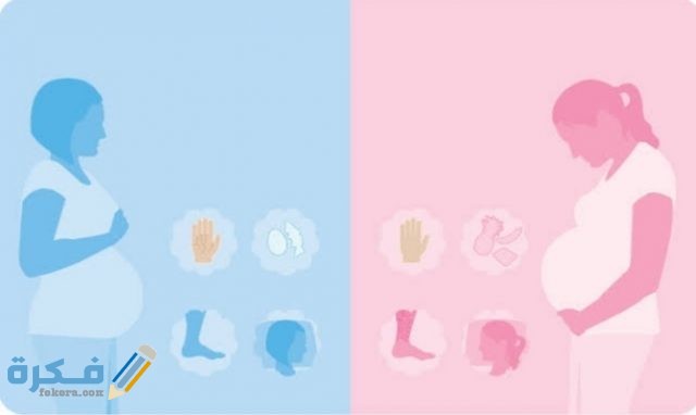 معرفة نوع الجنين من كعب الرجل IMG ٢٠٢٠٠٩٢١ ٢١٤٥٤٨