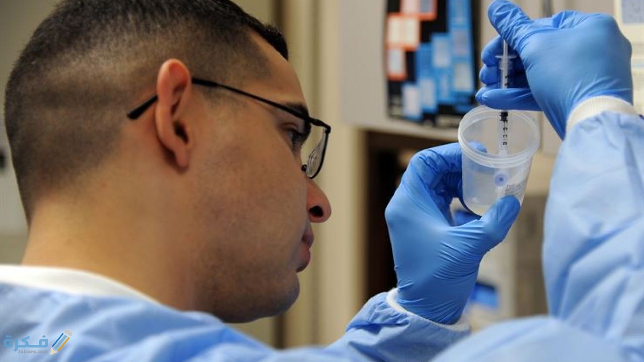 كيف تزيد كمية وكثافة السائل المنوي