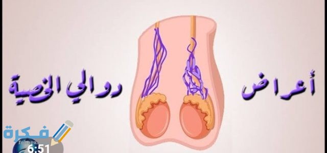 IMG ٢٠٢٠١٠٠١ ٠٠٣٥١٧