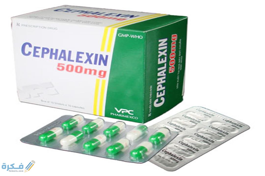 سيفالكسين Cephalexin مضاد حيوي قوي للجراثيم والبكتريا سيفالكسين Cephalexin مضاد حيوي قوي للجراثيم والبكتريا