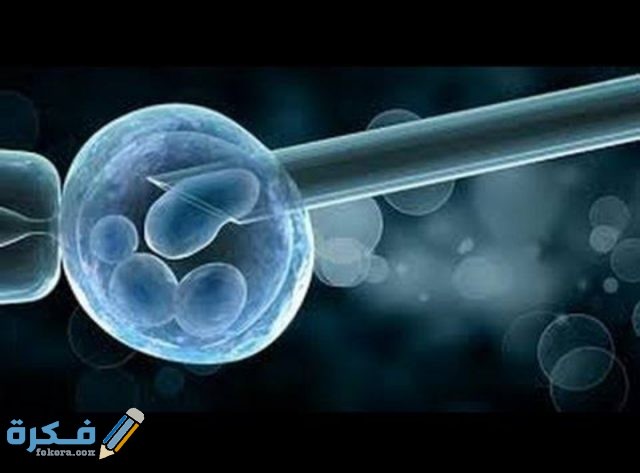 علامات نزول البويضه بعد الابرة التفجيرية IMG ٢٠٢٠١١٢٦ ٠٠٠٦٣٦