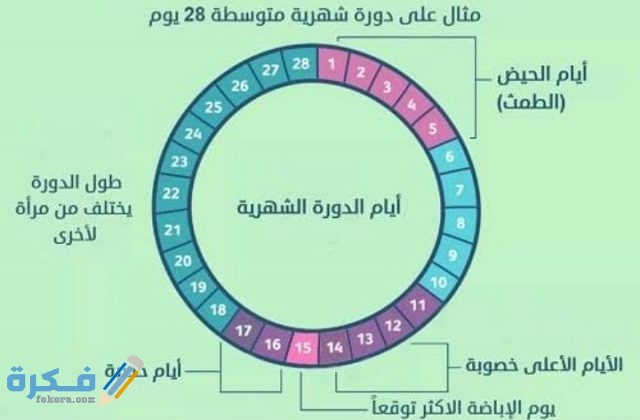 IMG ٢٠٢٠١١٢٦ ٠٠٠٨٥٦