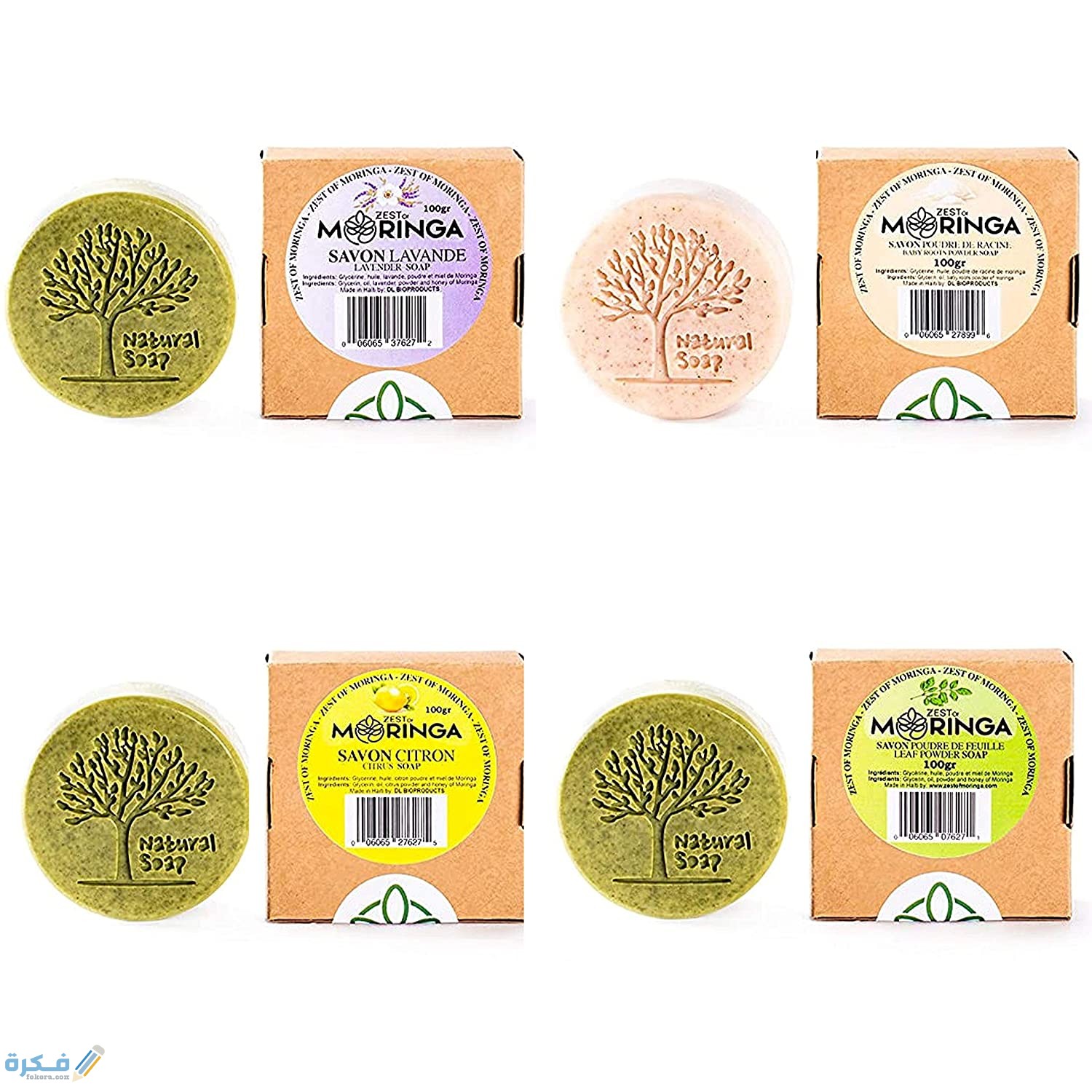 فوائد عشبة وشاي وزيت المورينجا وأفضل منتجاتها فوائد عشبة وشاي وزيت المورينجا وأفضل منتجاتها