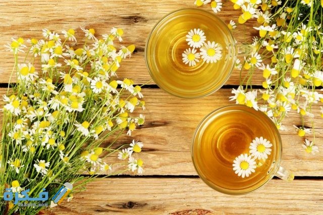 فوائد البابونج للتخسيس والرجيم chamomile tea on a board