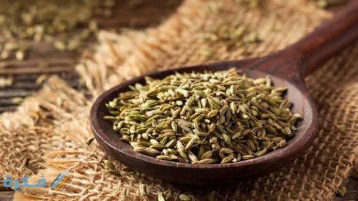 images 2021 12 06T234946.382