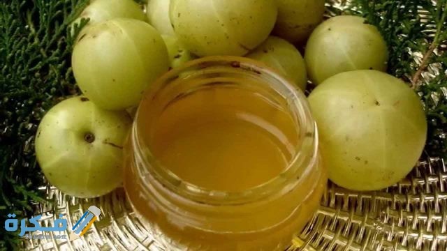 فوائد نبات الاملج للصحة والشعر والبشرة maxresdefallult