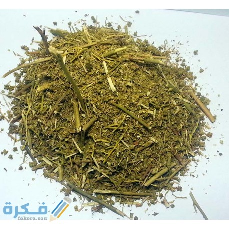 فوائد عشب السذاب واضراره على الصحة unnamed file