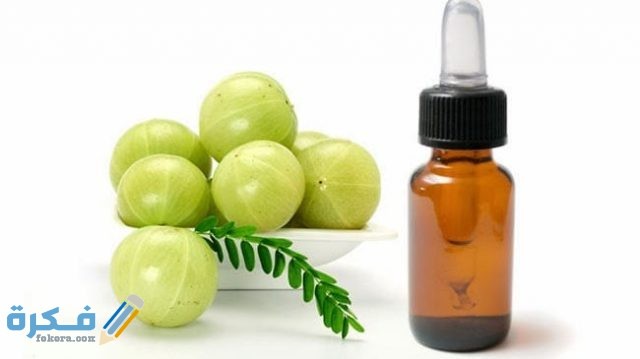 فوائد نبات الاملج للصحة والشعر والبشرة زيت الأملج للعناية بالبشرة والشعر