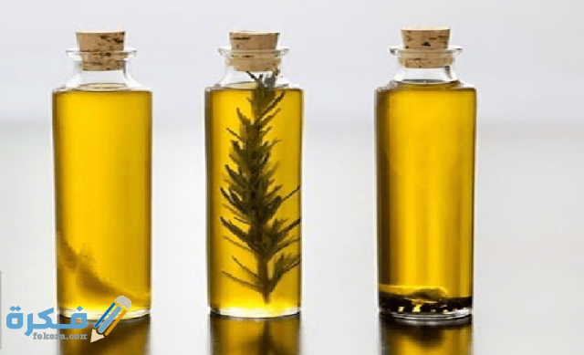 فوائد نبات الضرو للصحة ولعلاج الحروق زيت الضرو للعناية بصحة الشعر