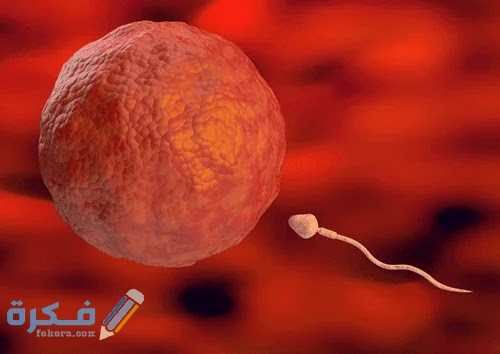 1AEADDA8 C6BB 41C0 9DE4 23804CEACE9F