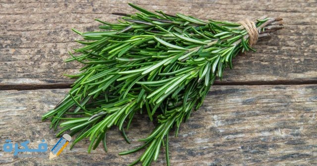 فوائد الأعشاب الطبيعية وأهم فوائد استخدام الأعشاب