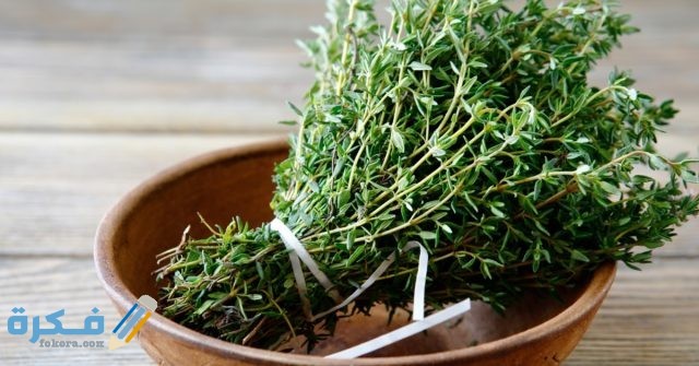 فوائد الأعشاب الطبيعية وأهم فوائد استخدام الأعشاب