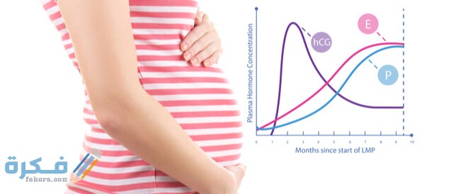 ما هي النسبة الطبيعية لتحليل الحمل الرقمي ما هي النسبة الطبيعية لتحليل الحمل الرقمي