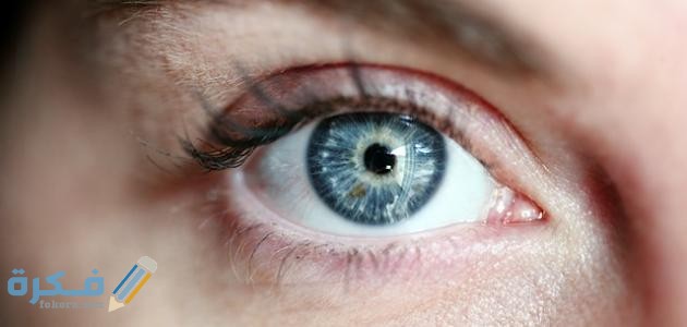 أسباب الدوخة وعدم الاتزان وزغللة العين أسباب الدوخة وعدم الاتزان وزغللة العين