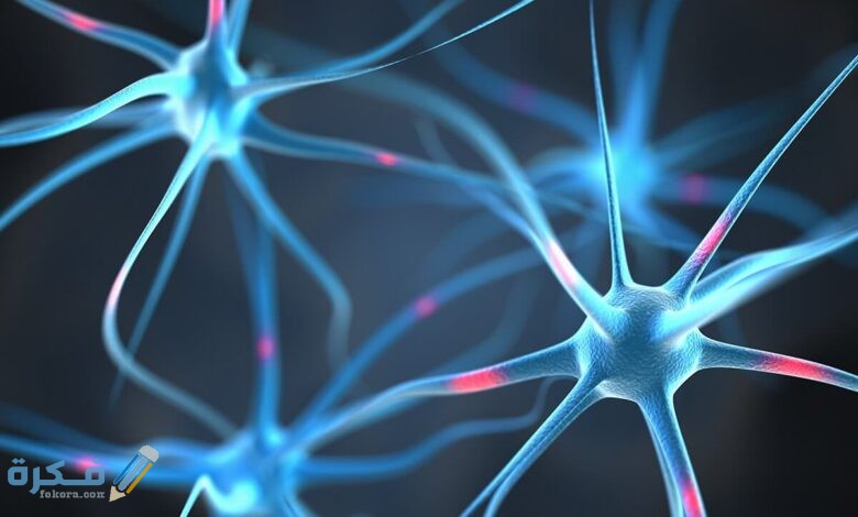 أفضل أنواع حقن الأعصاب أفضل أنواع حقن الأعصاب