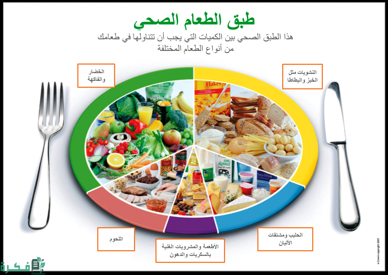 ما هي الوجبة الغذائية المتوازنة 3 أنواع الأطعمة الصحية وفوائدها