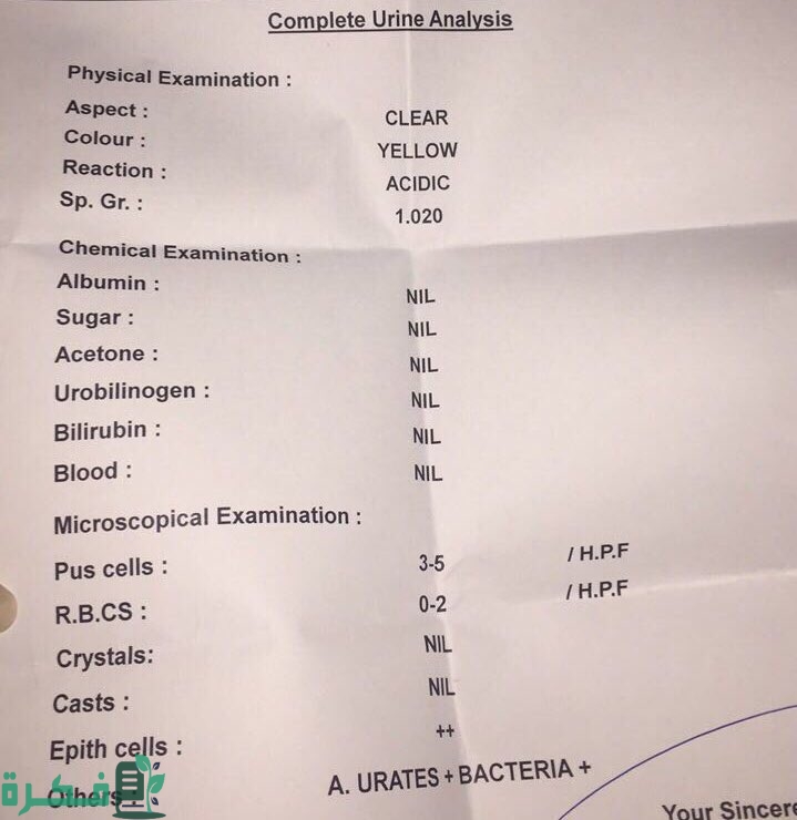 ما معنى اختصار HPF في تحليل البول ما معنى اختصار HPF في تحليل البول