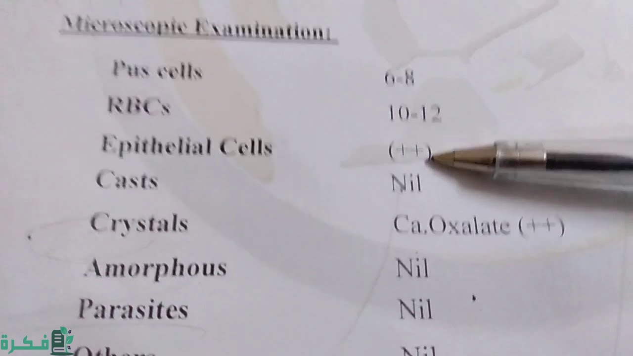 ما معنى اختصار HPF في تحليل البول ما معنى اختصار HPF في تحليل البول