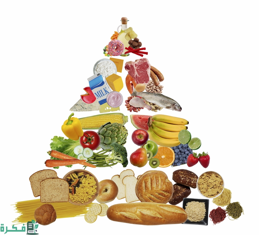 ما هي الوجبة الغذائية المتوازنة 4 العوامل المؤثرة على الوجبة الغذائية المتوازنة