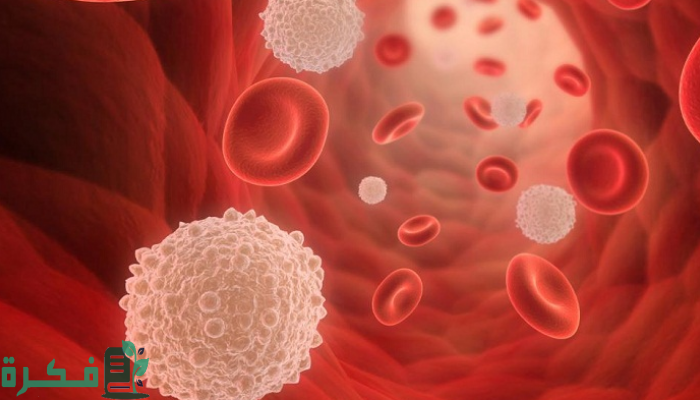 ماهي نسبة كريات الدم البيضاء الطبيعية في البول للحامل ما هي نسبة مرات الدم البيضاء الطبيعيه في البول للحامل