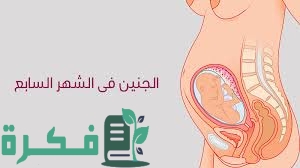 8F116942 DCD6 4976 AEB2 3B0FF557481F