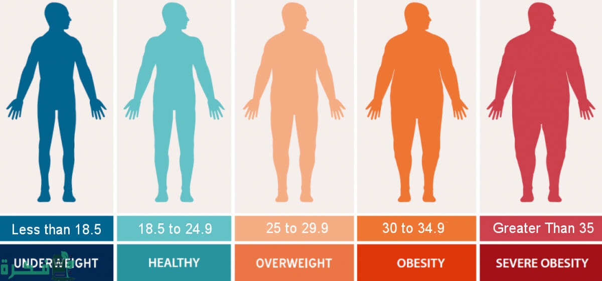 القياسات الطبيعية للجسم