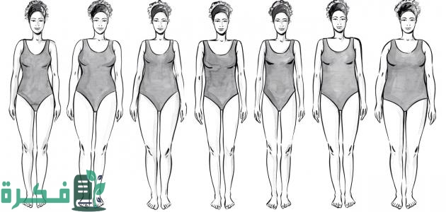 القياسات الطبيعية للجسم القياسات الطبيعية للجسم