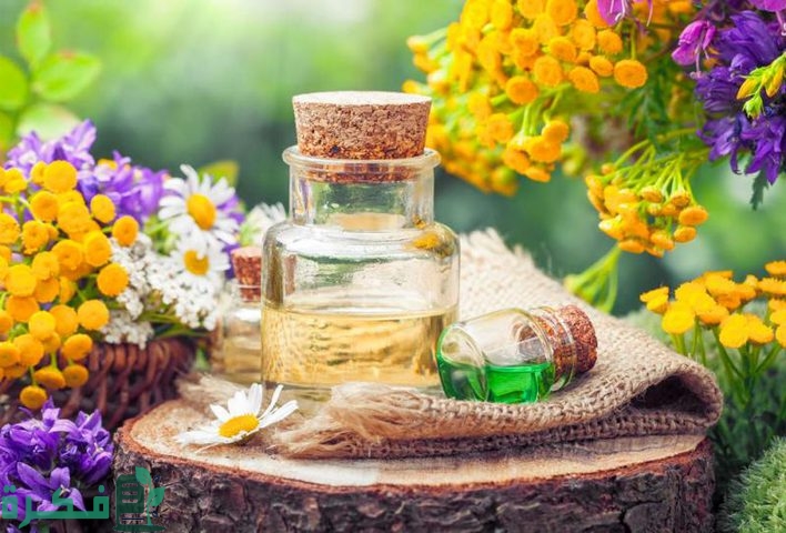 شرح خطوات استخلاص المواد الفعالة من النباتات الطبية