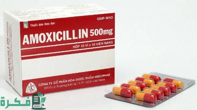 احسن 5 أنواع مضاد حيوي لرشح المياه على الأذن 2 أفضل 5 أنواع مضاد حيوي لرشح المياه على الأذن