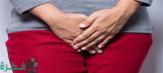 أين تقع فتحة المهبل بالصور؟