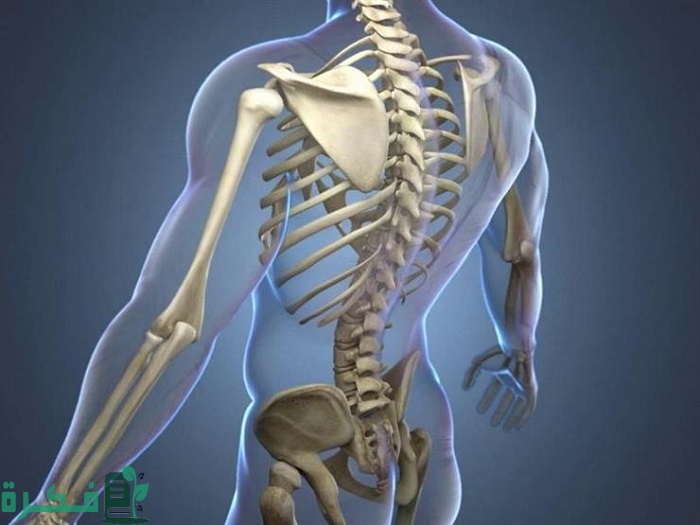 أسماء احسن 5 حقن فيتامينات للعظام