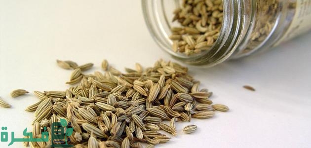 فوائد الشمر للجهاز التنفسي والكحة; أكثر من 18 فائدة 2 فوائد الشمر للجهاز التنفسي