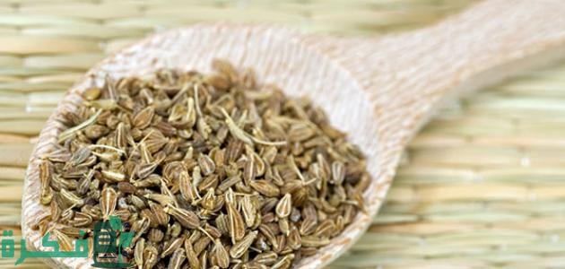 فوائد الشمر للجهاز التنفسي والكحة; أكثر من 18 فائدة