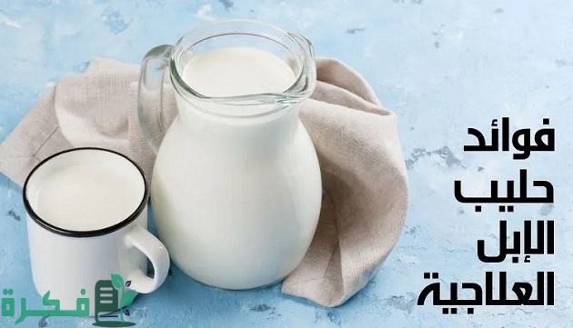 طريقة شرب حليب الإبل لمرضى السرطان طريقة شرب حليب الإبل لمرضى السرطان