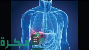 كيف أعرف أن وظائف الكبد سليمة 2 كيف أعرف أن وظائف الكبد سليمة