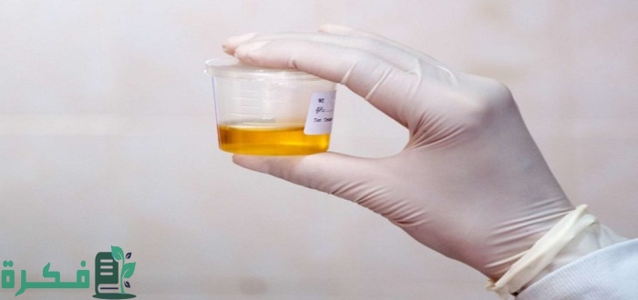 هل التبول كل ساعة طبيعي 2 هل التبول كل ساعة طبيعي