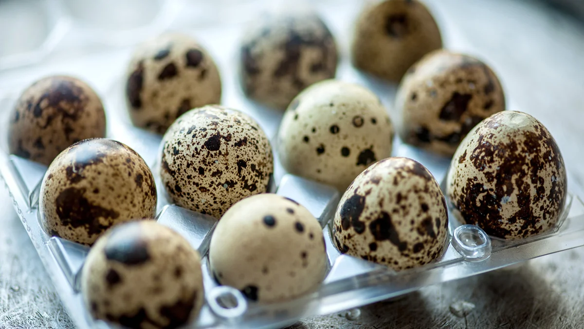 فوائد بيض السمان للرجال فوائد بيض السمان للرجال